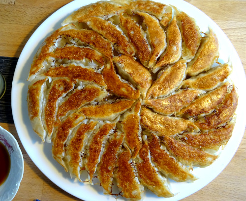 gyoza